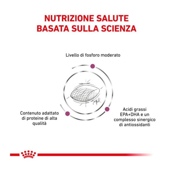 Royal Canin Dog Veterinary Diet Early Renal - 2 kg - immagine 2