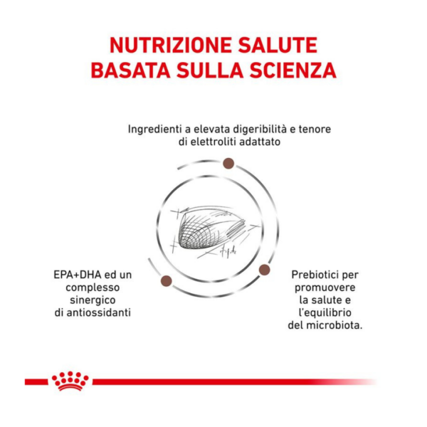 Royal Canin Cat Veterinary Diet Gastrointestinal - 400 g - immagine 3
