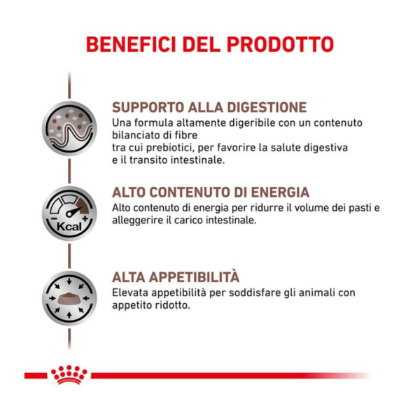 Royal Canin Cat Veterinary Diet Gastrointestinal - 400 g - immagine 4