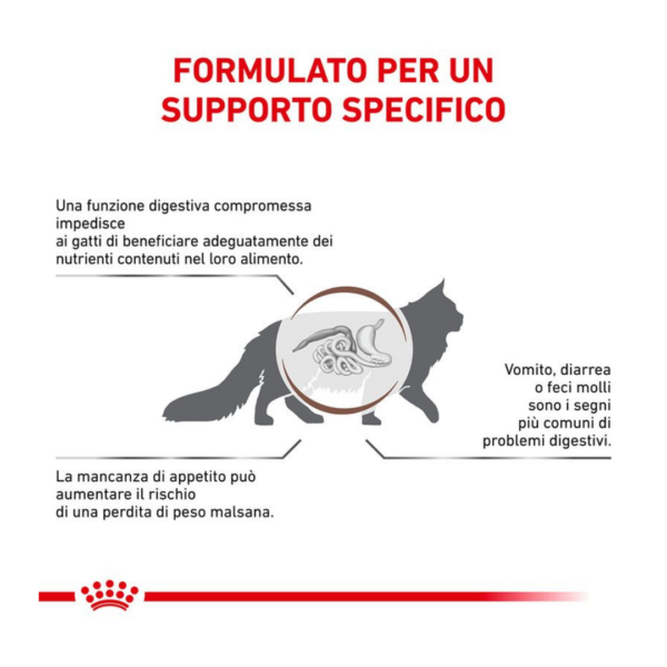 Royal Canin Cat Veterinary Diet Gastrointestinal - 400 g - immagine 2