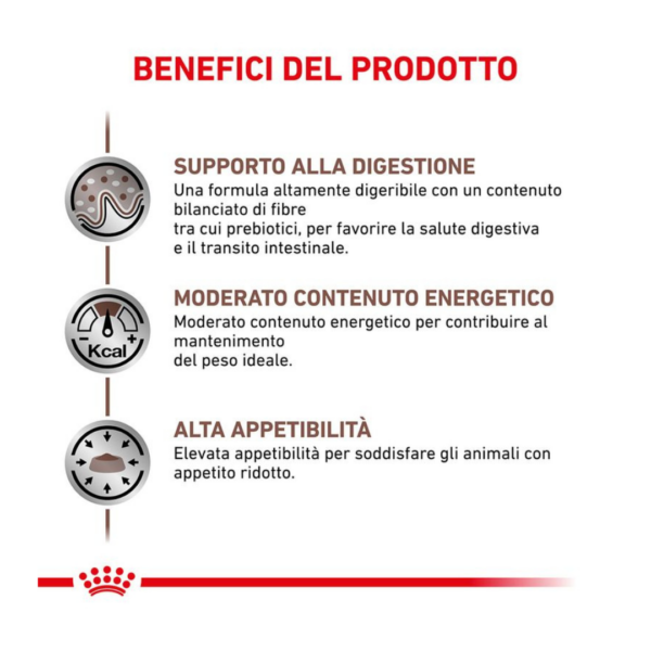 Royal Canin Cat Veterinary Diet Gastrointestinal Moderate Calorie - 2 kg - immagine 4