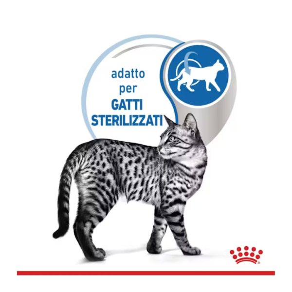 Royal Canin Cat Indoor Straccetti in Gelatina - 12X85 g - immagine 4