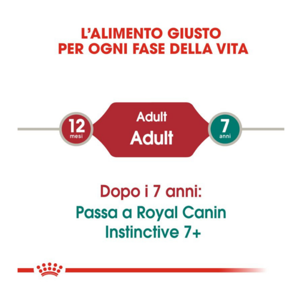 Royal Canin Cat Instinctive Bocconcini in Salsa - 12X85 g - immagine 5