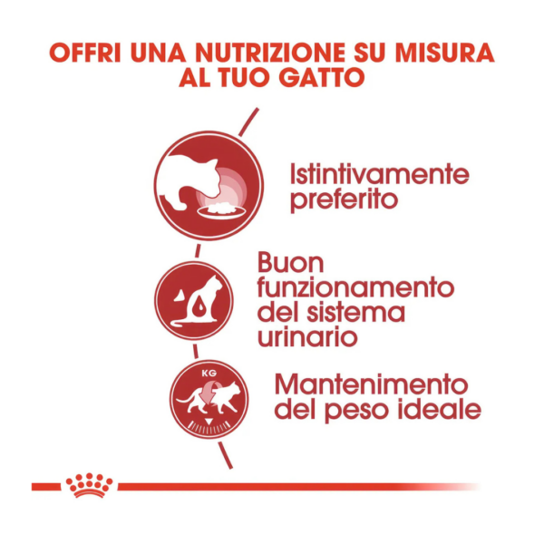 Royal Canin Cat Instinctive Bocconcini in Salsa - 12X85 g - immagine 4