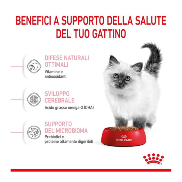 Royal Canin Cat Kitten - 2 kg - immagine 4