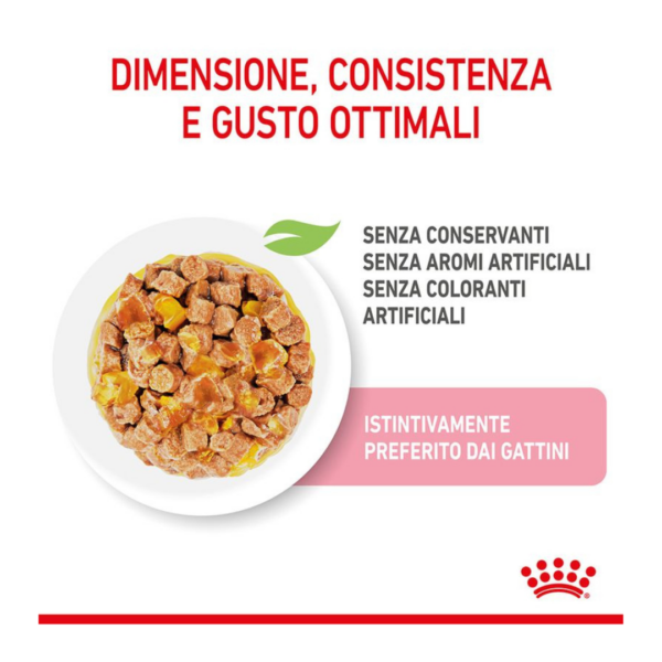 Royal Canin Cat Kitten Bocconcini in Gelatina - 12X85 g - immagine 4