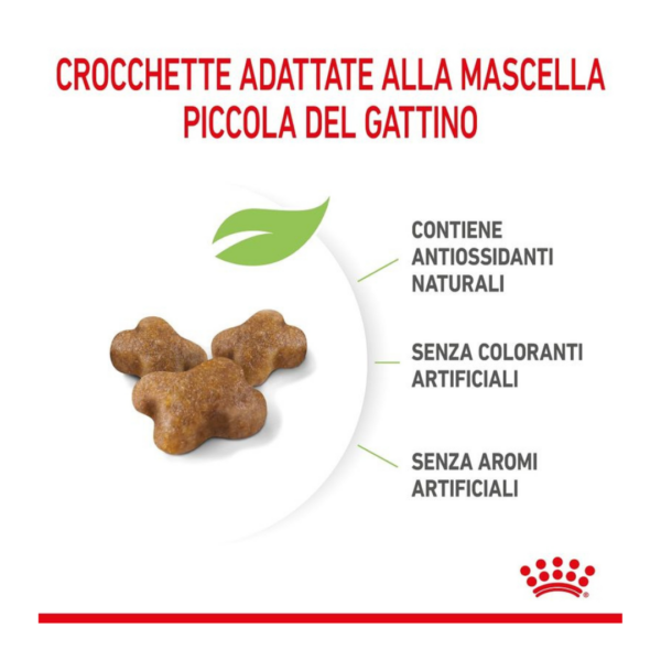 Royal Canin Cat Kitten - 2 kg - immagine 5