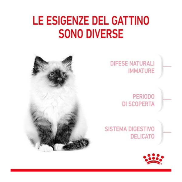 Royal Canin Cat Kitten - 2 kg - immagine 3