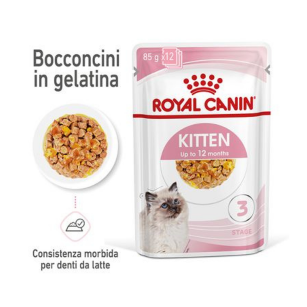 Royal Canin Cat Kitten Bocconcini in Gelatina - 12X85 g - immagine 3