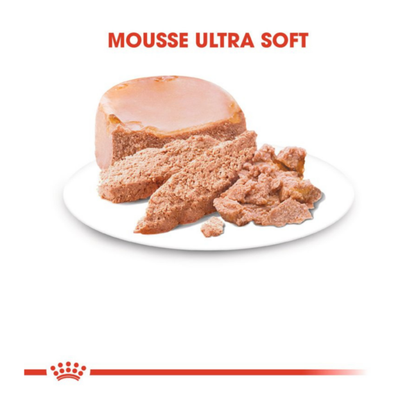 Royal Canin Dog Starter Mother&Babydog - 195 g - immagine 2