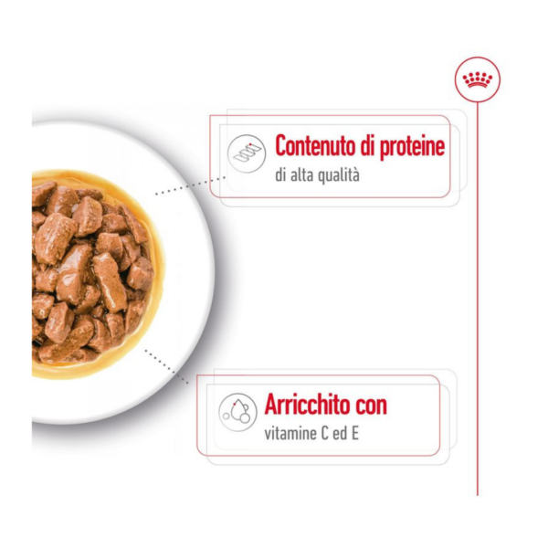Royal Canin Dog Medium Ageing 10+ – 10X140 g - immagine 3