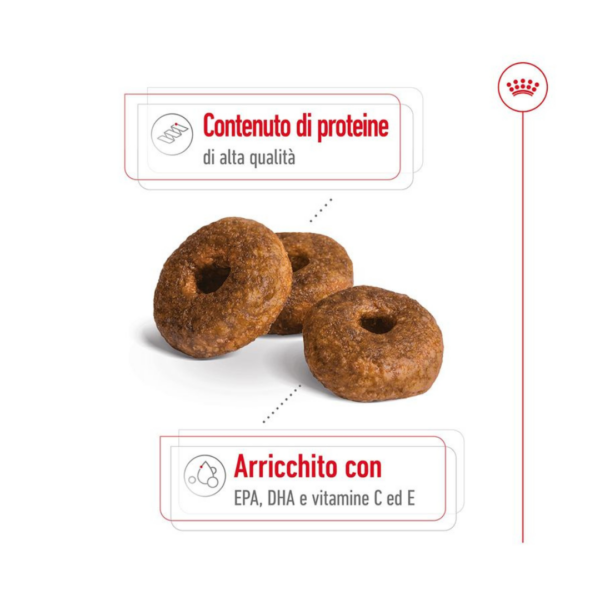 Royal Canin Dog Medium Ageing 10+ - 3 kg - immagine 4