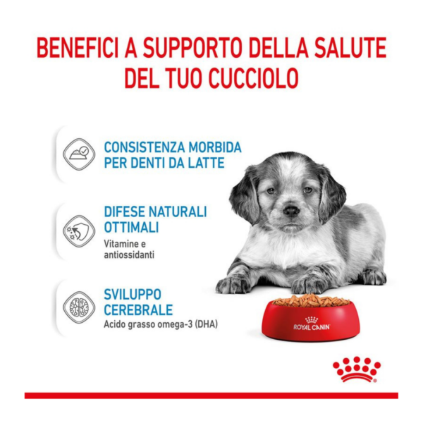 Royal Canin Dog Medium Puppy - 12X140 g - immagine 4