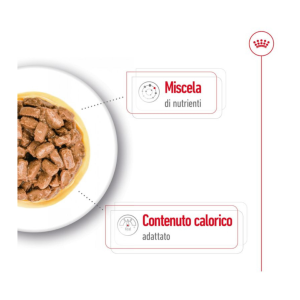 Royal Canin Dog Mini Ageing 12+ - 12X85 g - immagine 3