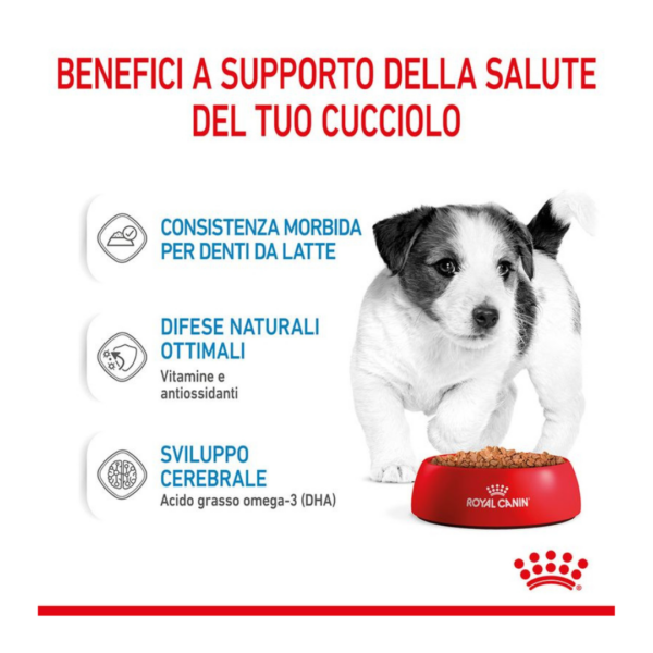 Royal Canin Dog Puppy Mini - 12X85 g - immagine 4
