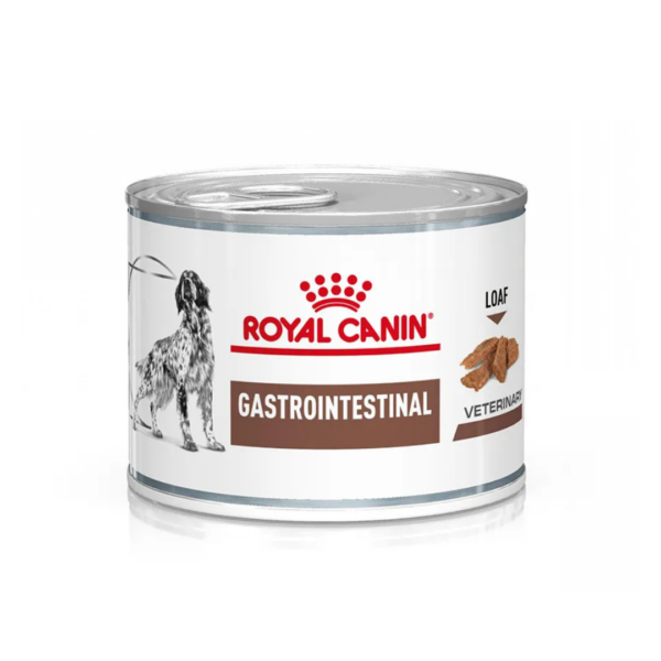 Royal Canin Dog Veterinary Diet Gastrointestinal - 200 g