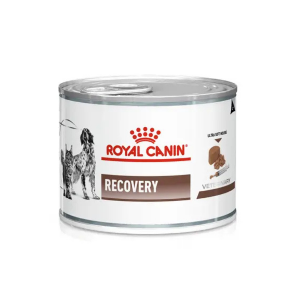 Royal Canin Dog&Cat Veterinary Diet Recovery - 195 g