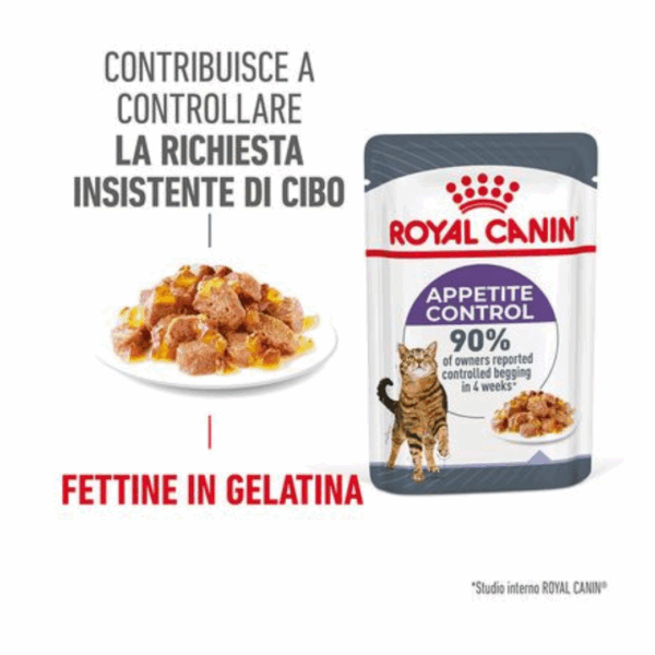 Royal Canin Cat Appetite Control Care Fettine in Gelatina - 12X85 g - immagine 3