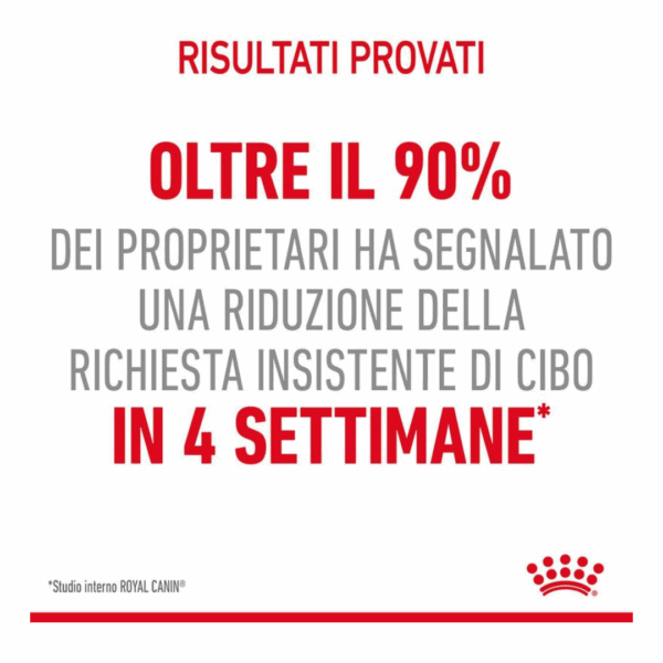 Royal Canin Cat Appetite Control Care Fettine in Gelatina - 12X85 g - immagine 5