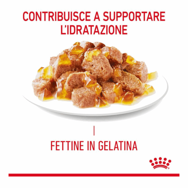 Royal Canin Cat Hair&Skin Care Fettine in Gelatina - 12X85 g - immagine 4
