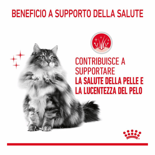 Royal Canin Cat Hair&Skin Care Fettine in Salsa - 12X85 g - immagine 5