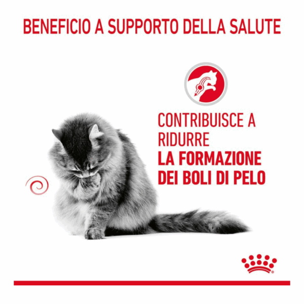 Royal Canin Cat Hairball Care Fettine in Salsa - 12X85 g - immagine 5