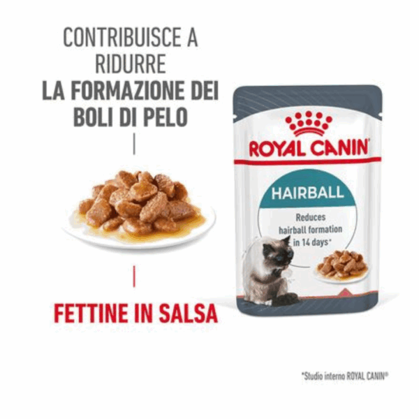 Royal Canin Cat Hairball Care Fettine in Salsa - 12X85 g - immagine 3