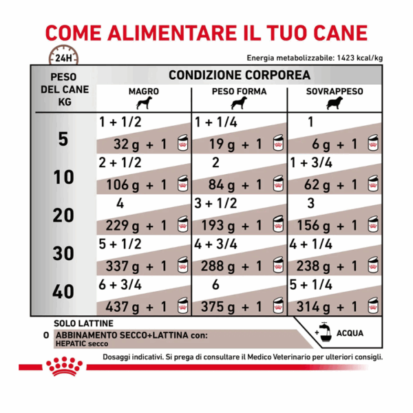 Royal Canin Dog Veterinary Diet Hepatic - 200 g - immagine 4