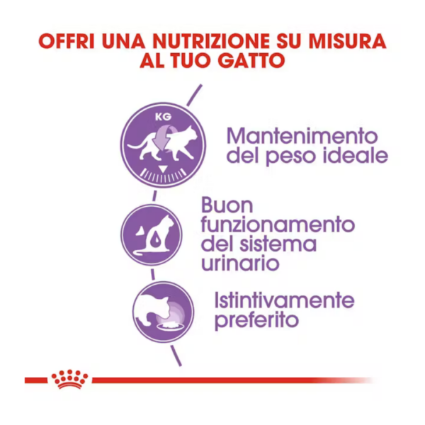 Royal Canin Cat Sterilised Bocconcini in Salsa - 12X85 g - immagine 5