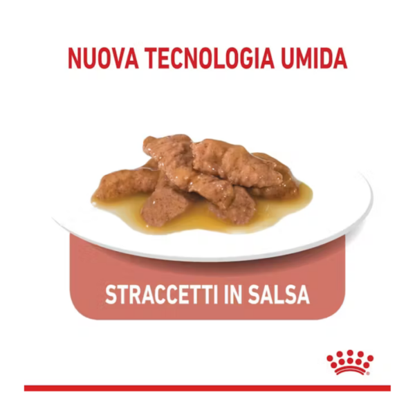 Royal Canin Cat Indoor Straccetti in Salsa - 12X85 g - immagine 5