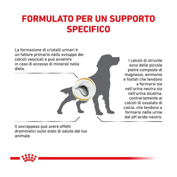 Royal Canin Dog Veterinary Diet Urinary S/O Moderate Calorie - 12 kg - immagine 4