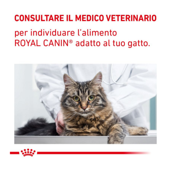 Royal Canin Cat Veterinary Diet Gastrointestinal Kitten - 400 g - immagine 5
