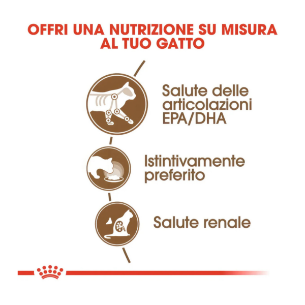 Royal Canin Cat Ageing 12+ Bocconcini in Salsa - 12X85 g - immagine 4