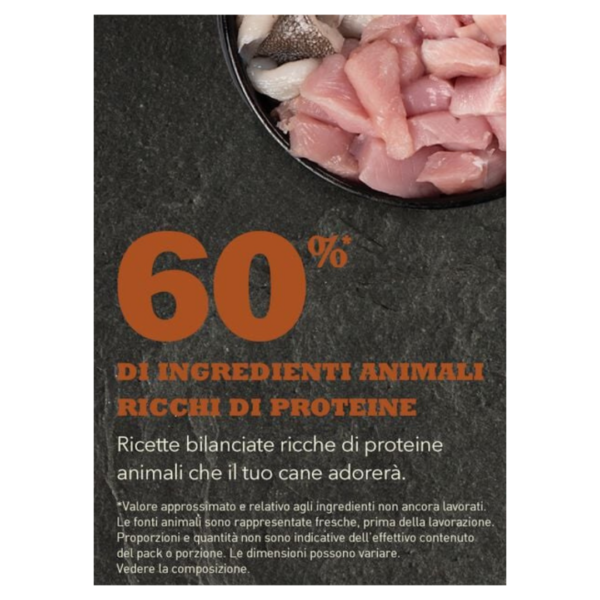 Acana Dog Adult Large Breed Recipe - 11,4 kg - immagine 3