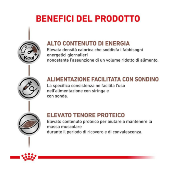 Royal Canin Dog&Cat Veterinary Diet Recovery - 195 g - immagine 2