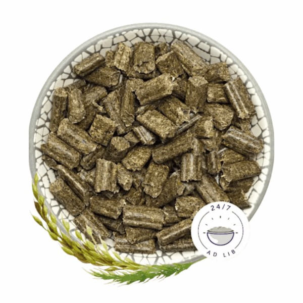 Bunny Sogno per Conigli Basic - 600 g - immagine 2