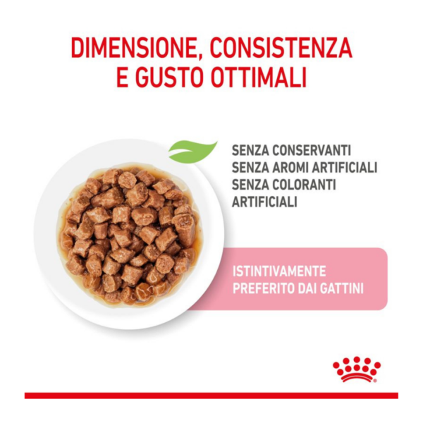 Royal Canin Cat Kitten Bocconcini in Salsa - 12X85 g - immagine 4