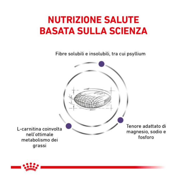Royal Canin Cat Veterinary Diet Neutered Satiety Balance - 1,5 kg - immagine 3