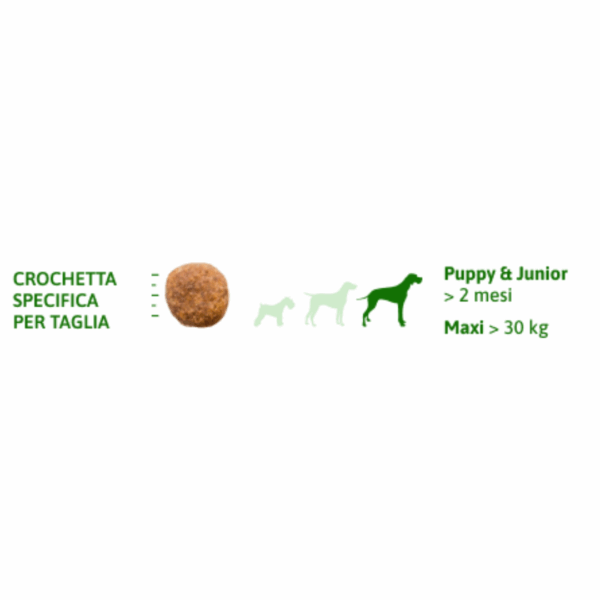 Natural Trainer Dog Daily Nutrition Maxi Puppy&Junior Pollo - 12 kg - immagine 6