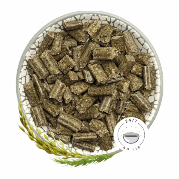 Bunny Sogno per Conigli Young – 600 g - immagine 2