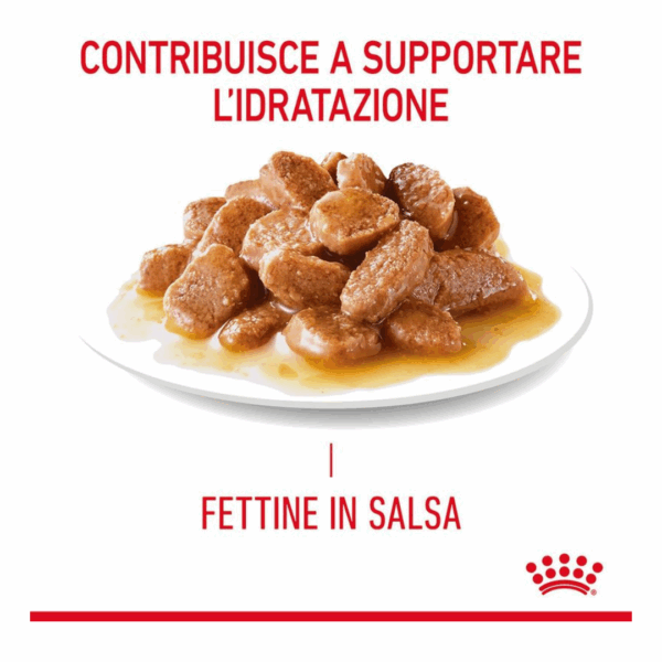 Royal Canin Cat Apetite Control Care Fettine in Salsa - 12X85 g - immagine 4