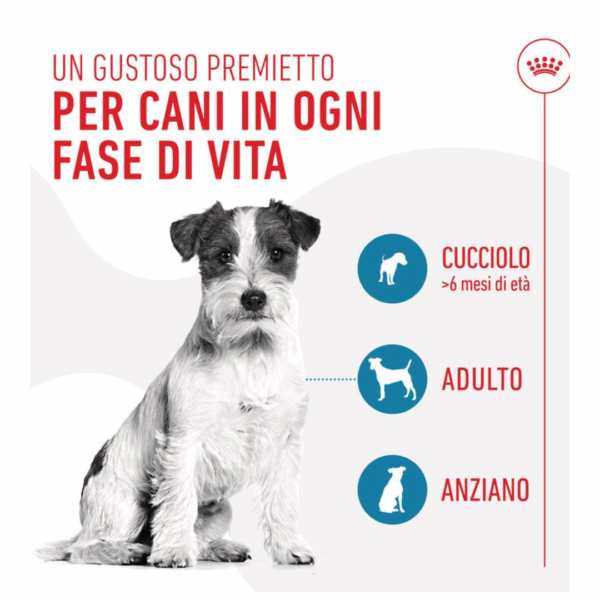 Royal Canin Dog Training Treats Snack - 110 g - immagine 4
