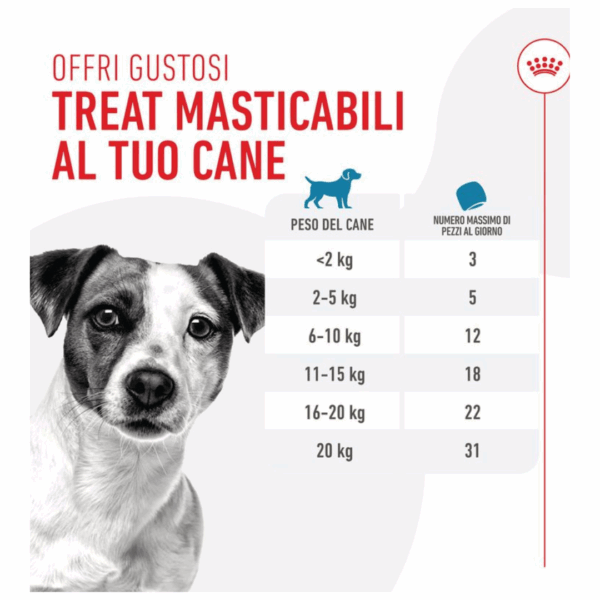 Royal Canin Dog Training Treats Snack - 110 g - immagine 7