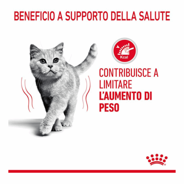 Royal Canin Cat Light Weight Care Fettine in Gelatina - 12X85 g - immagine 5