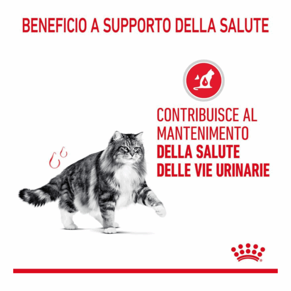 Royal Canin Cat Urinary Care Fettine in Salsa - 12X85 g - immagine 5