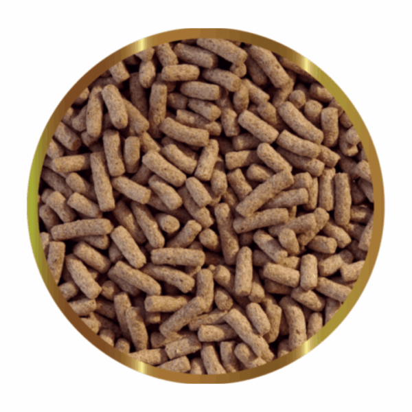 SHG Gammarus Stick Mangime per Pesci Ornamentali e Tartarughe Aquatiche - 800 g - immagine 2