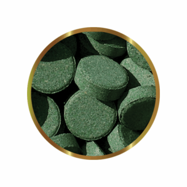 SHG Mangime da Fondo Plecotabs - 60 g - immagine 2