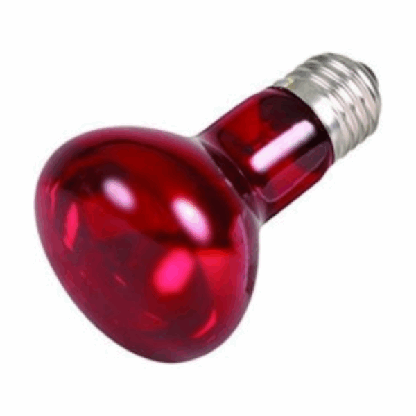 Trixie Lampada Spot a Infrarossi con Riflettore - 75w - immagine 2