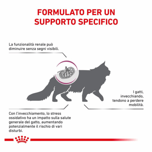 Royal Canin Cat Veterinary Diet Early Renal - 1,5 kg - immagine 4