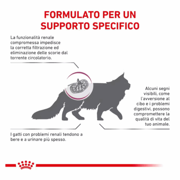 Royal Canin Cat Veterinary Diet Renal Special - 400 g - immagine 4